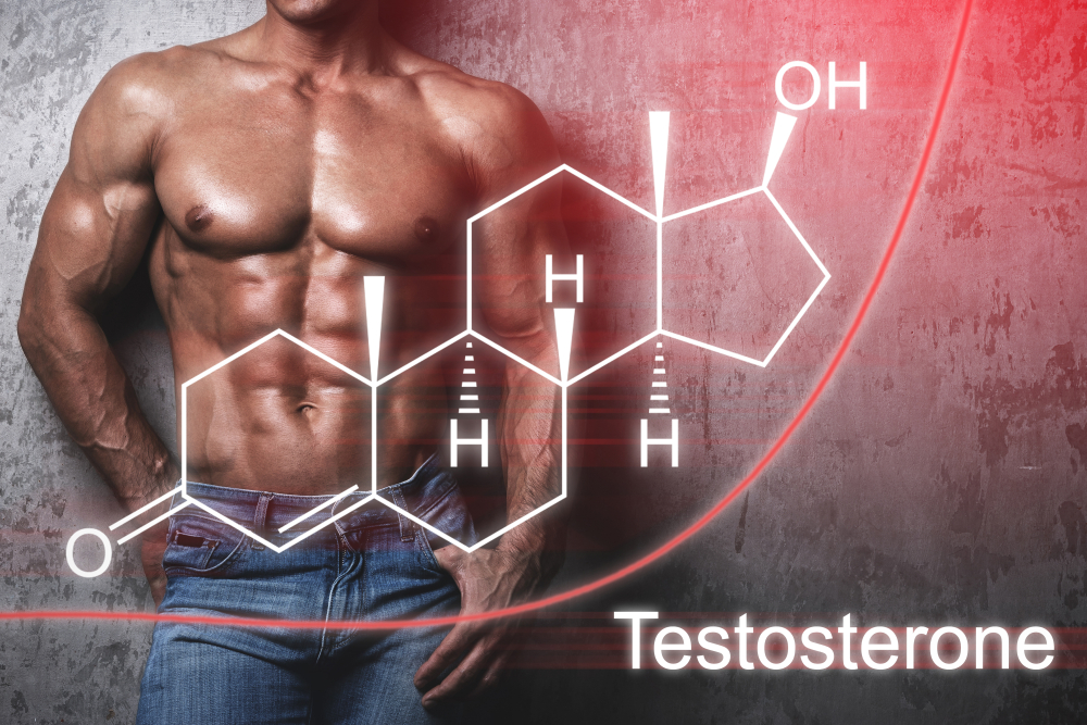 What happens when a man's testosterone is low?